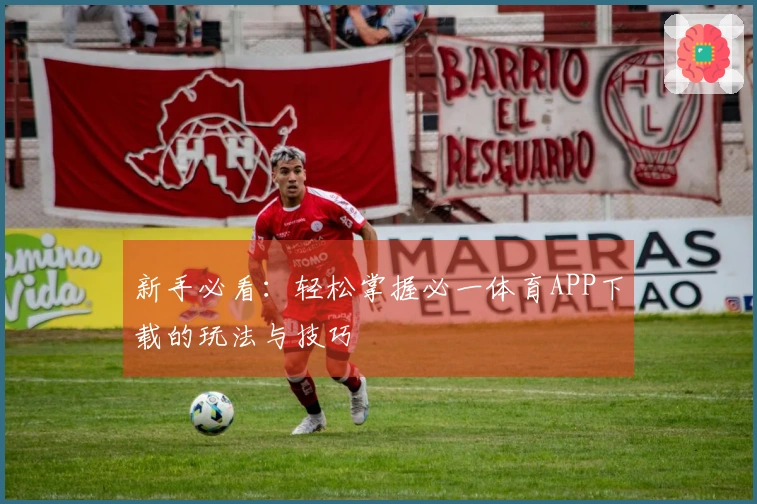 新手必看：轻松掌握必一体育APP下载的玩法与技巧